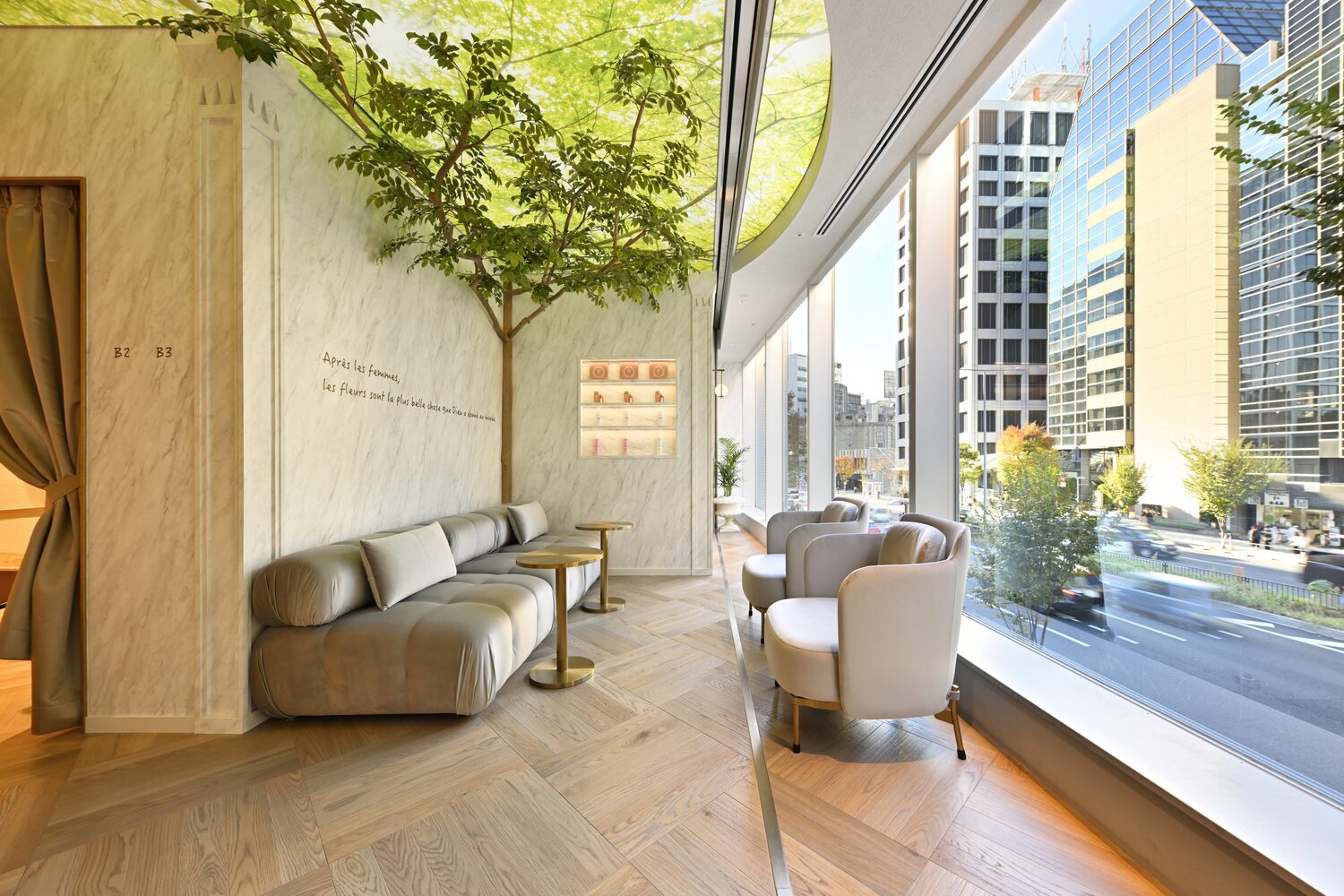 HAAB DREAM BEUTY CLINIC/MINAMIAOYAMA 
